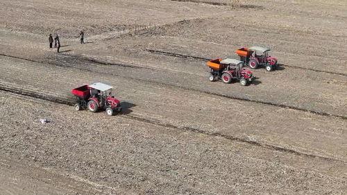 亚洲 国产 熟,国产熟品鉴之旅