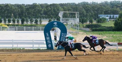 国产无马,引领绿色出行新潮流